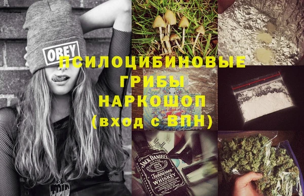 Альфа ПВП Баксан